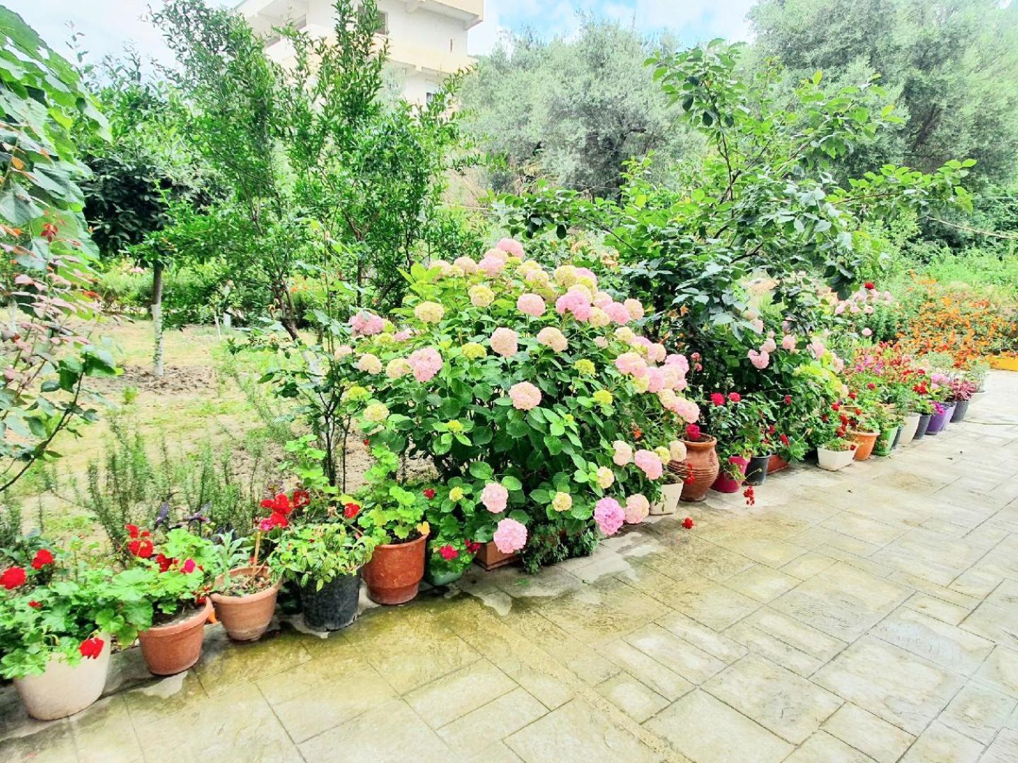 Apartament Me Qera Dublex Lungomare Vlora Kültér fotó